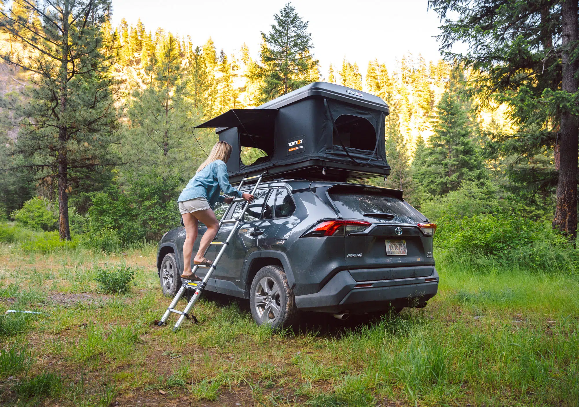 classic 2.0 van-life 1