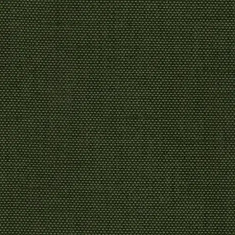 Kaki